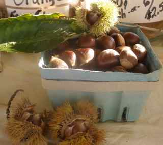 chestnuts
