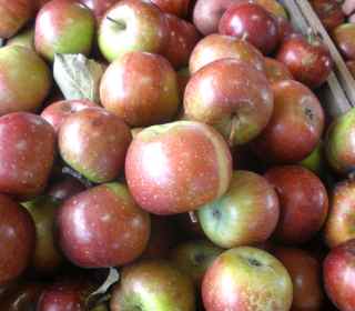 Apples 2
