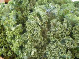 Kale