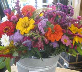 flowers 2