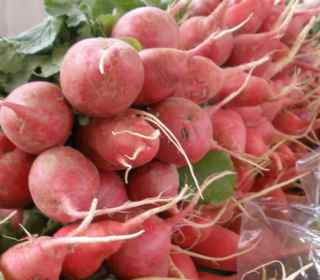 Radishes