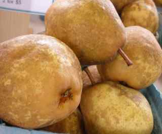 pears