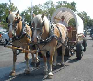 Wagon